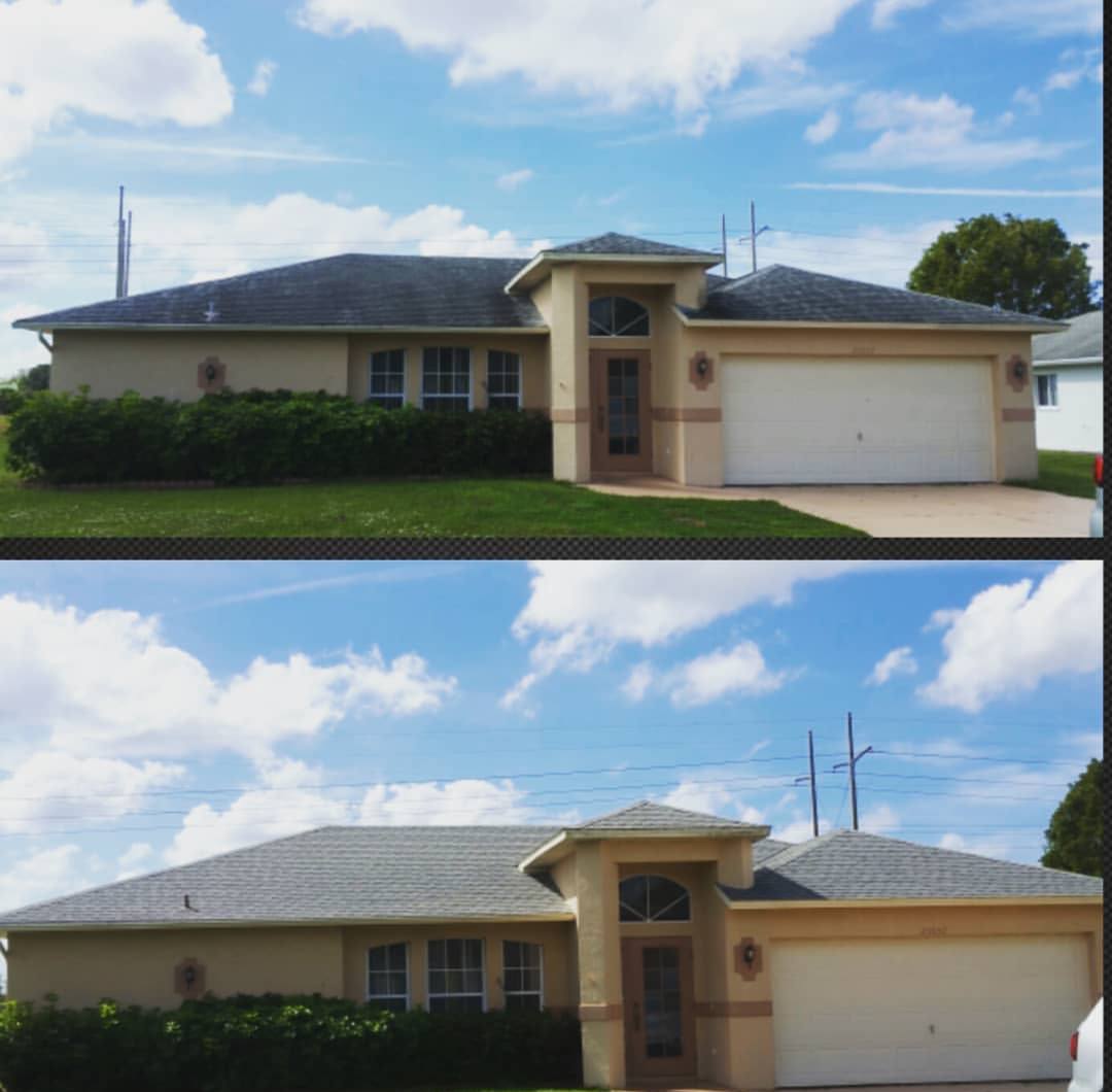 Shingle roof black with algae above and clean grey shingle below after soft washing