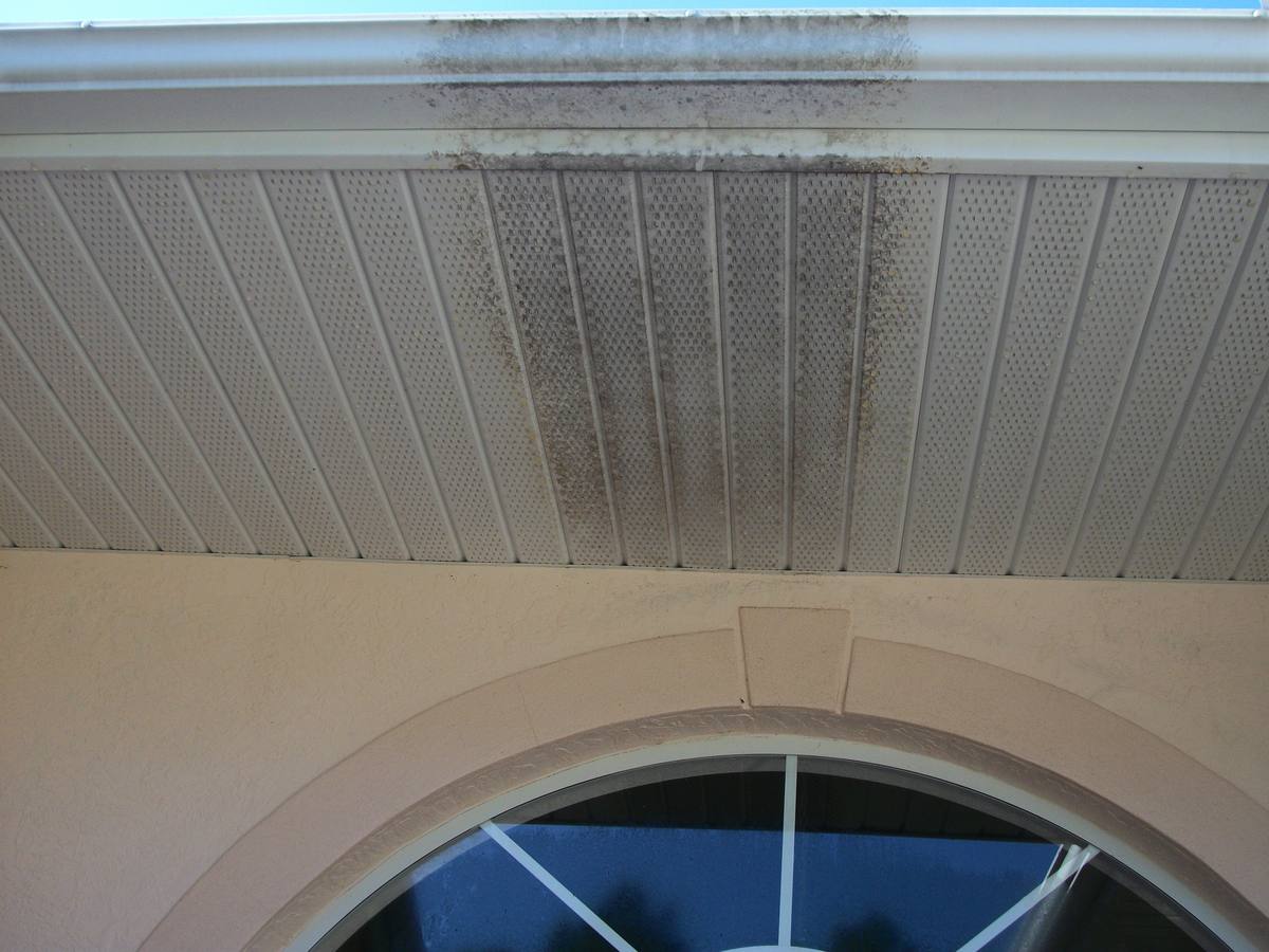 Soffit, fascia and gutter photographed part-cleaned, with mildew still visible on the right-hand side