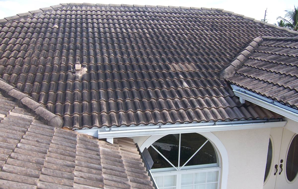 Barrel-tile roof heavily streaked with black algae before cleaning